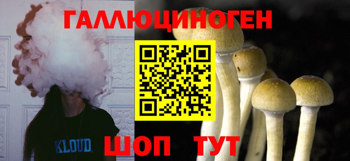 Галлюциногенные грибы ЛСД Тольятти